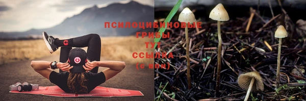 соль курить ск Армянск