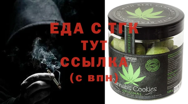 индика Аркадак