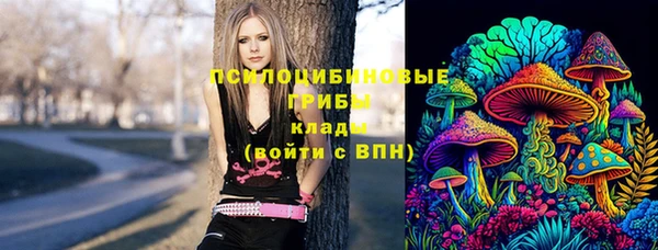 индика Аркадак