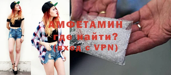индика Аркадак