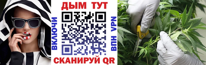 Бошки Шишки VHQ  Ивдель 